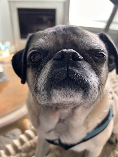 Photo from customer review