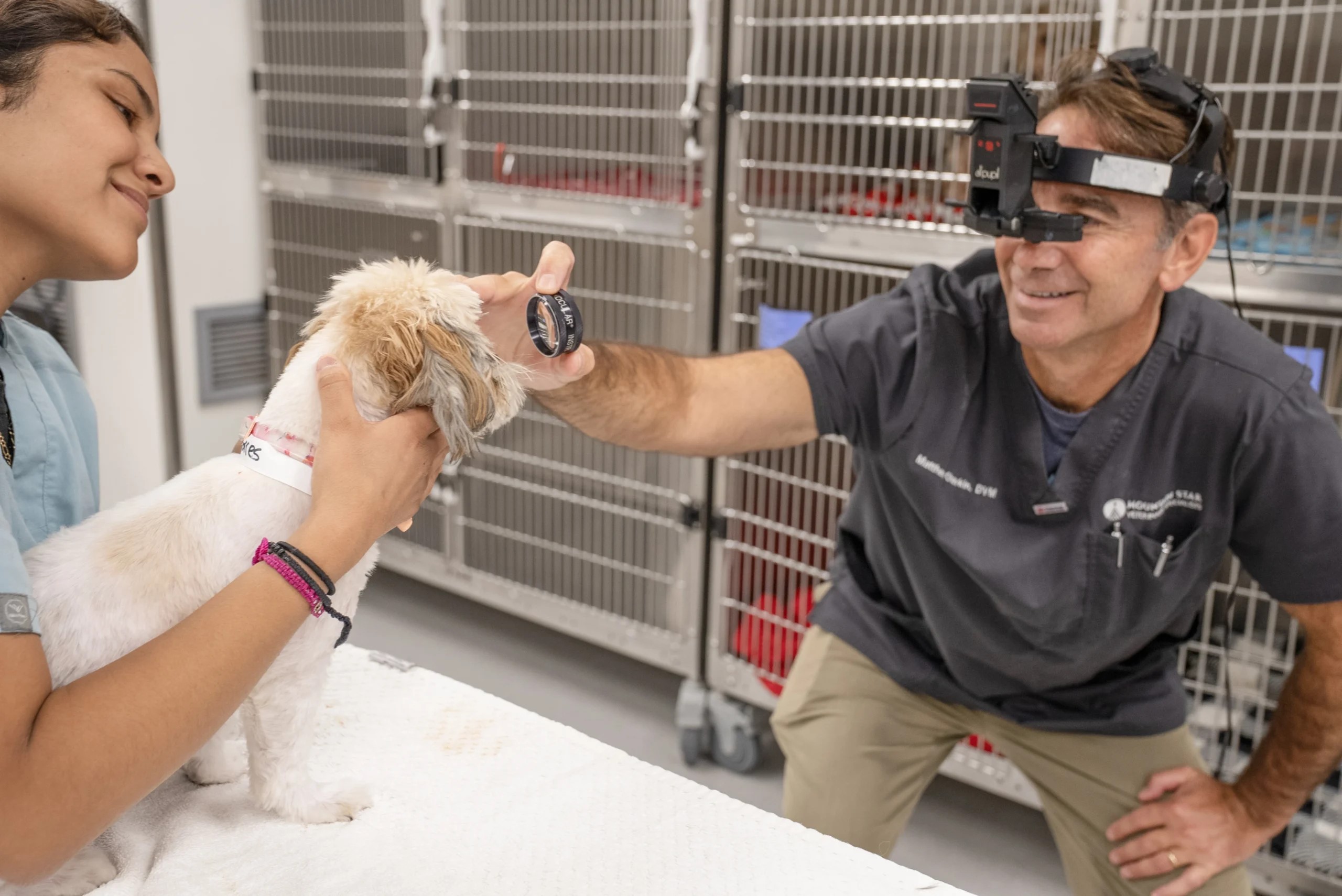 vet examining a dog held by vet staff